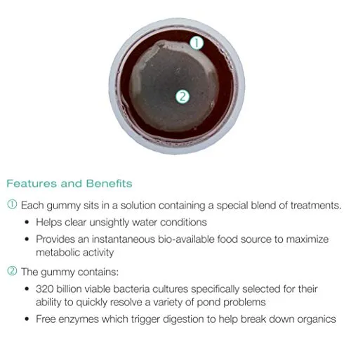 Aquascape 96083 QuickFix All-in-One Pond Gummy Water Treatment with Slow Disolve Release, Clear