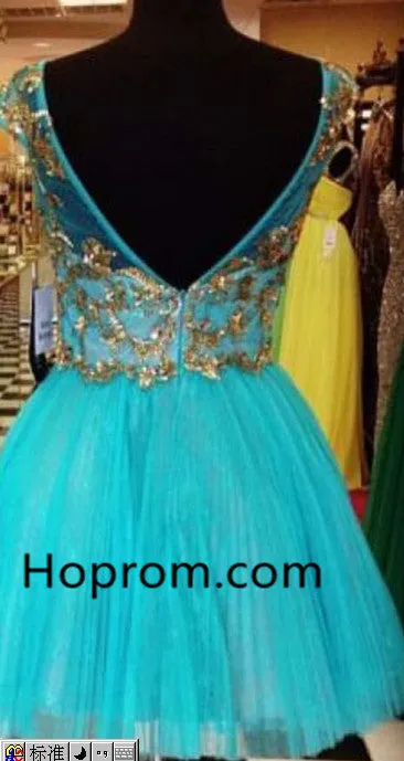 Blue Tulle Round Neck Homecoming Dresses wih Gold Appliques