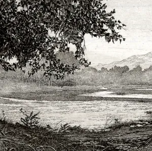 By the Piave River