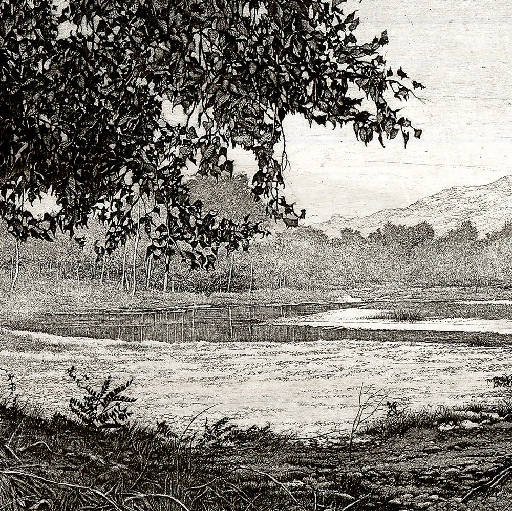 By the Piave River