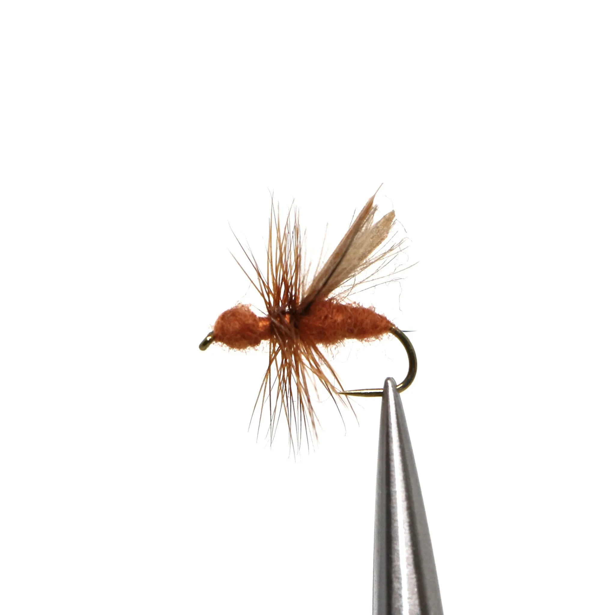 CDC Water Wasp