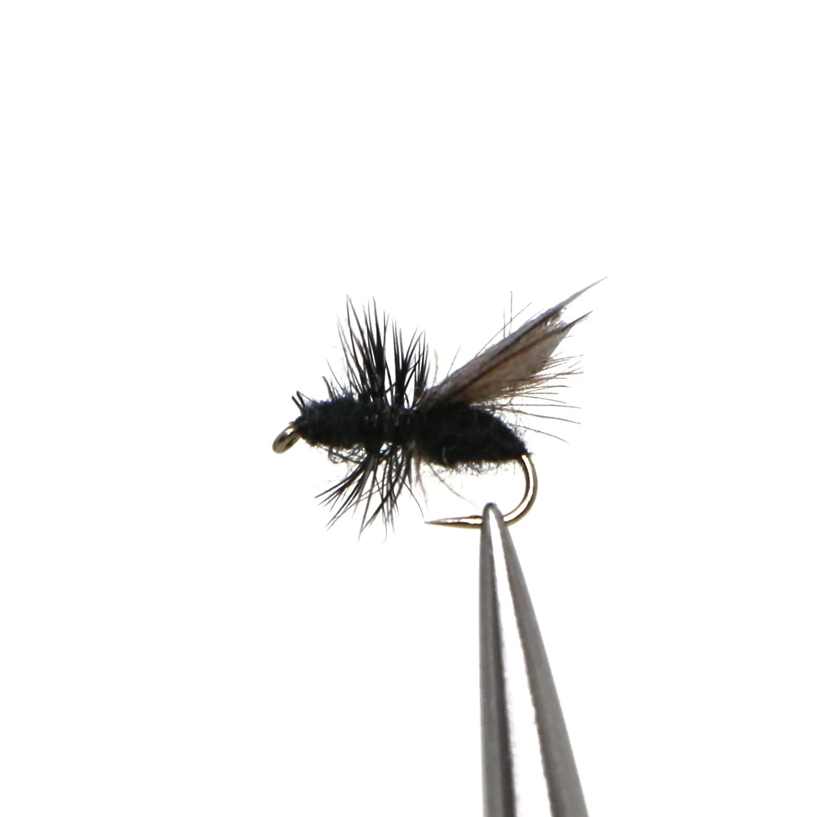 CDC Water Wasp