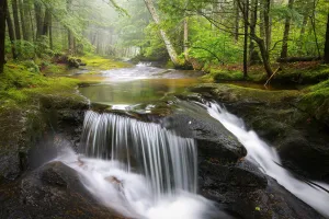 Hawkeye's Trail