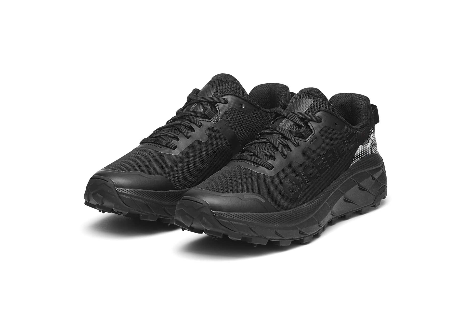ICEBUG Arcus 2 BUGrip GTX - Women's