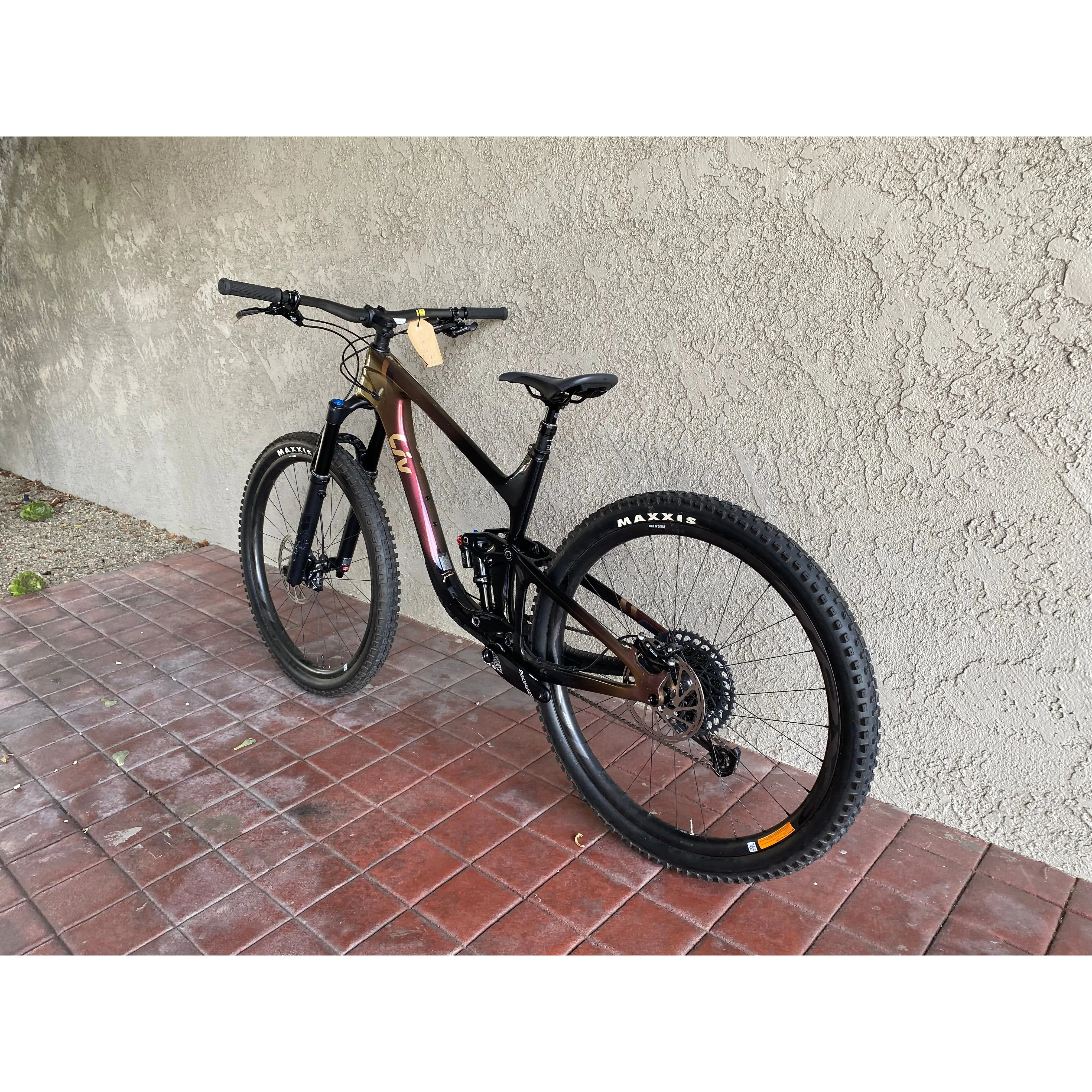 Liv Intrigue Adv Pro 1 29 BLEM
