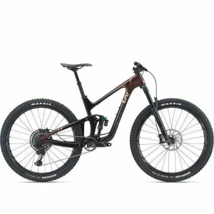 Liv Intrigue Adv Pro 1 29 BLEM