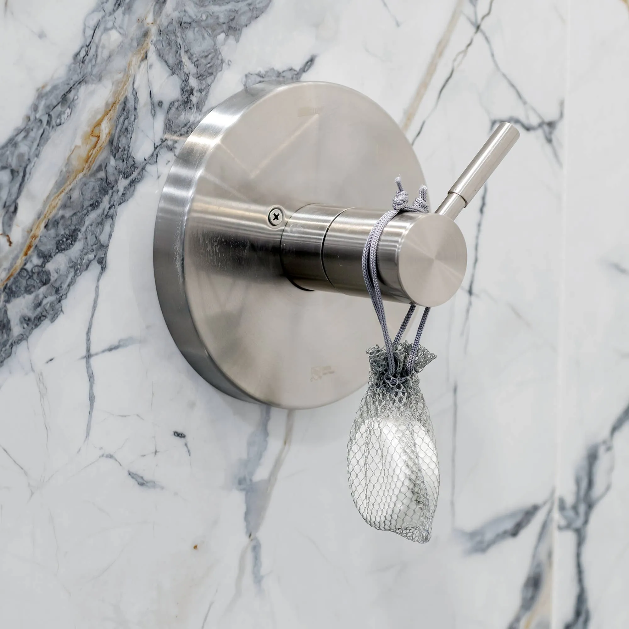 Luxe Eucalyptus   Aloe Shower Steamer