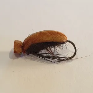Mick Hall's  Cockchafer Beetle