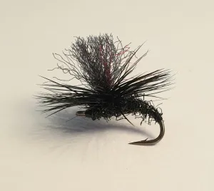 Mick Hall's Para Caddis - Black