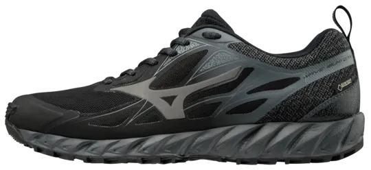 Mizuno Wave Ibuki GTX Women's