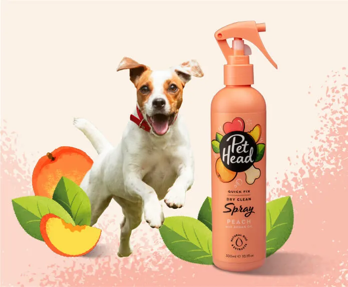Quick Fix Dry Clean Spray (300ml)
