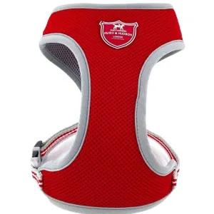 Red Mesh Dog Harness