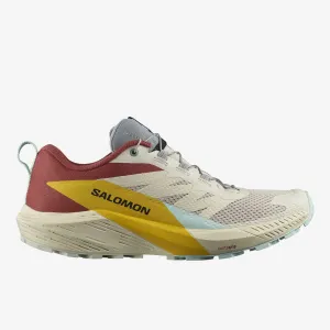 Salomon - Sense Ride 5 - Homme