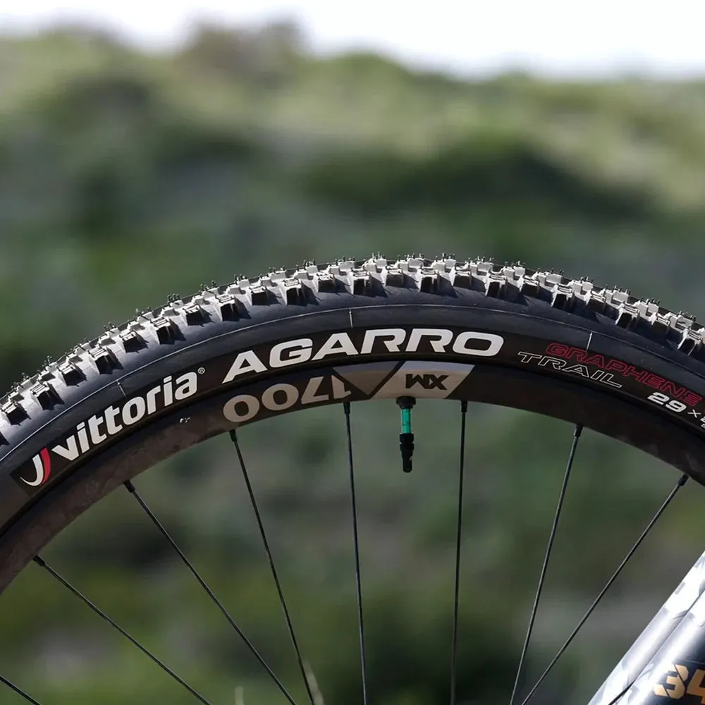 Vittoria 29" Agarro